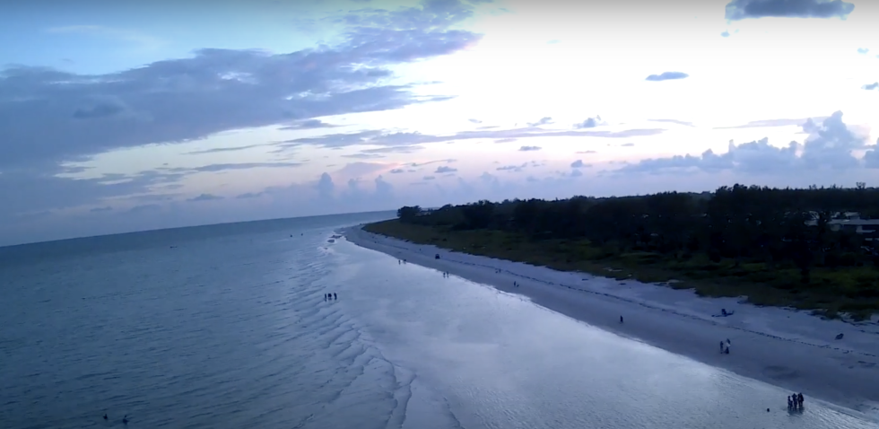 The Attack OF The No-See-Ums On Sanibel Island, Florida: How To Avoid The Pain!