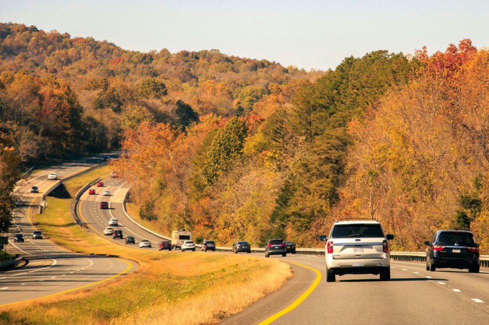 Imagine A Scene From A Comedic, Over-The-Top Road Trip Movie…