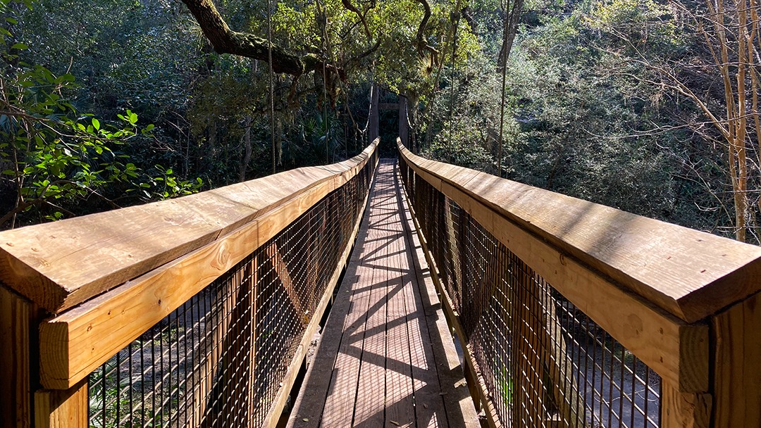 When A Travel Destination Exceeds Your Expectations: Ravine Gardens State Park in Palatka, Florida